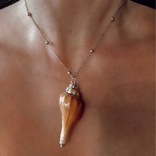 Beige Dipped Conch