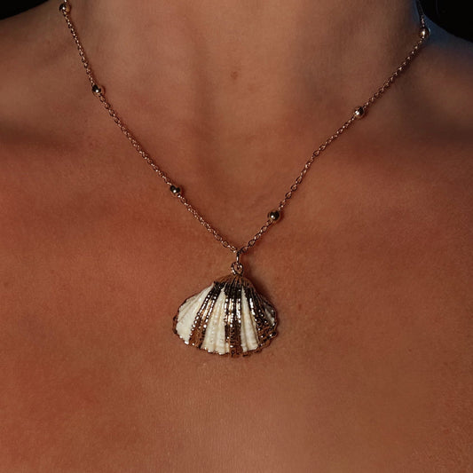 Dipped Scallop